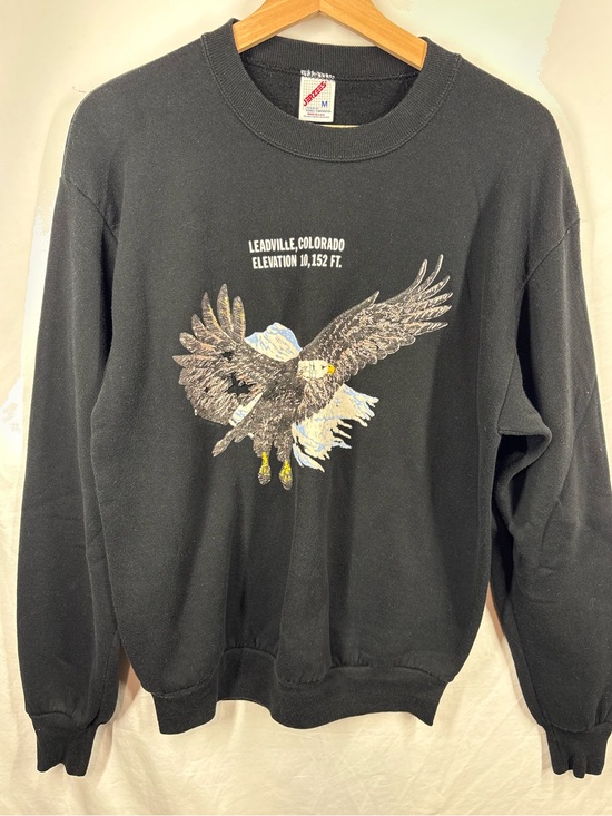 Jerzees Other - Vintage Jerzees Leadville Colorado Eagle Sweatshirt USA Made Medium